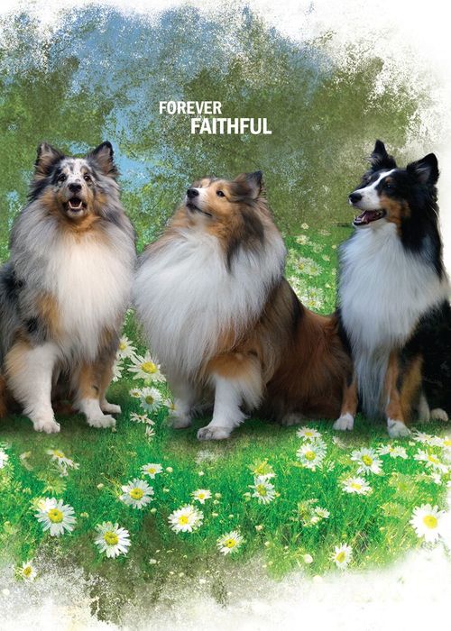 Forever Faithful Gospel front cover.