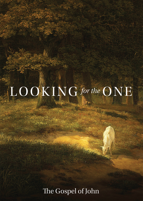 Looking for the One (Custom Gospel) Gospel front cover.