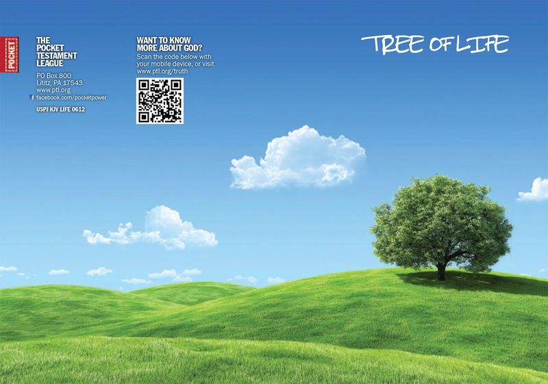 The Tree of Life Gospel front and back cover spread.