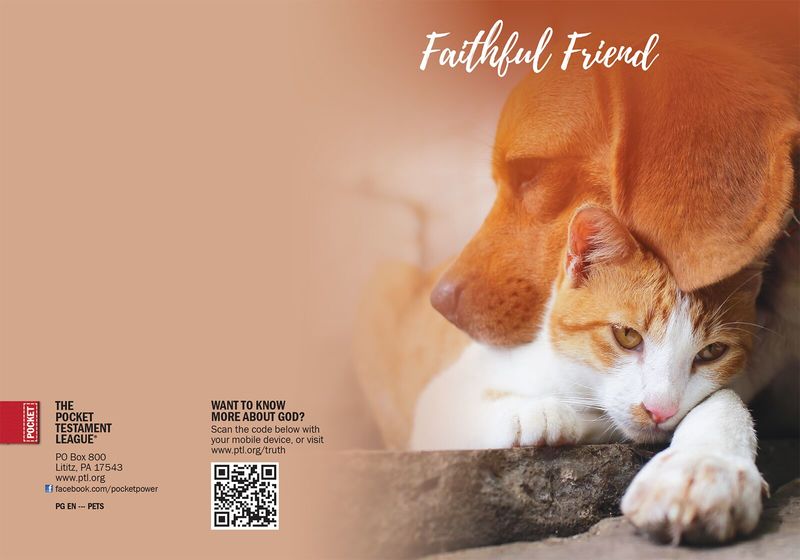 Faithful Friend Gospel front and back cover spread.