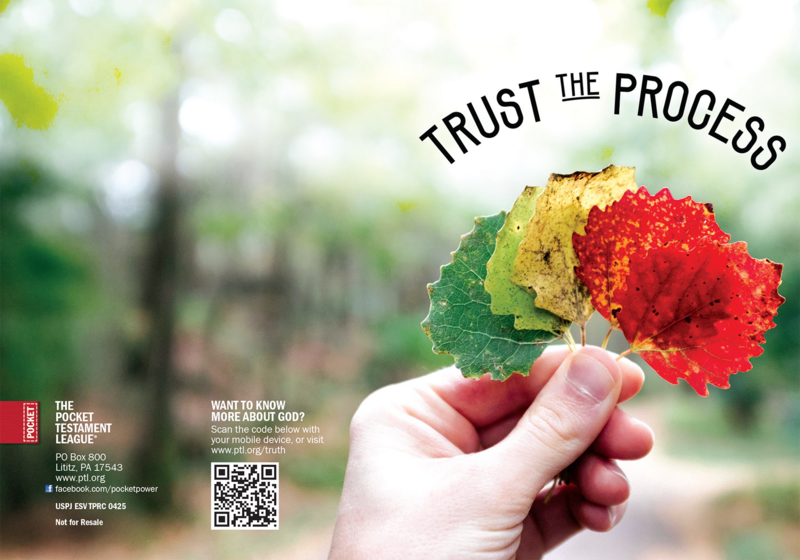 Trust the Process Gospel front and back cover spread.
