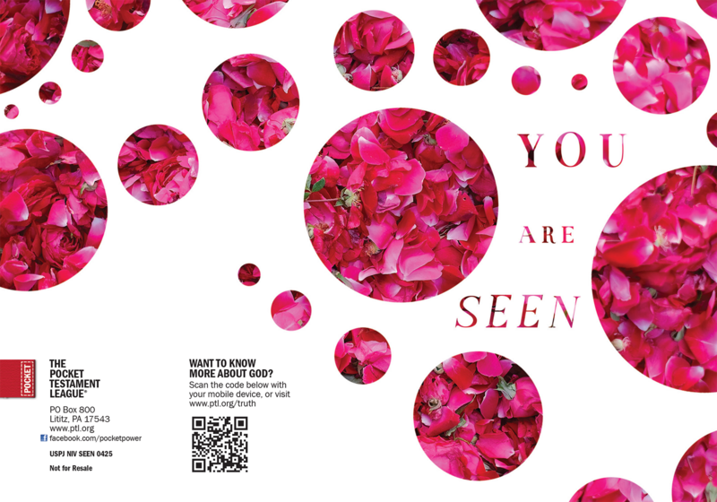 You are Seen Gospel front and back cover spread.