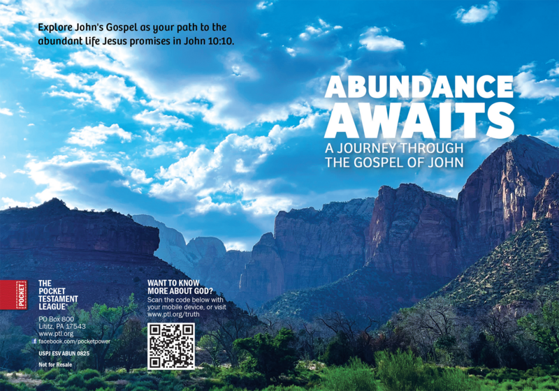 ABUNDANCE AWAITS - A JOURNEY THROUGH THE GOSPEL OF JOHN Gospel front and back cover spread.