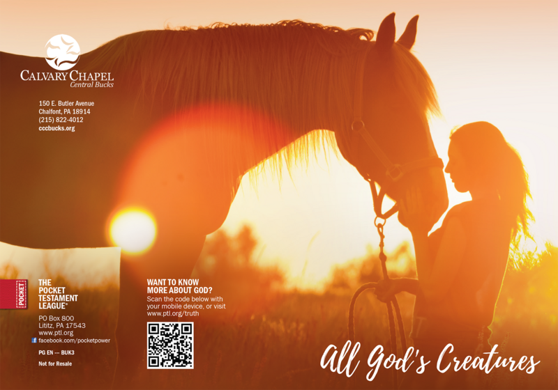 Custom Gospel | Calvary Chapel Central Bucks Gospel front and back cover spread.
