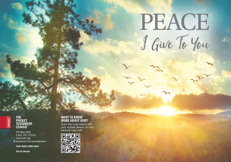 Peace I Give You Gospel front and back cover spread.